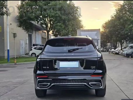 Hongqi HS5, 2024 — сүрөт 4