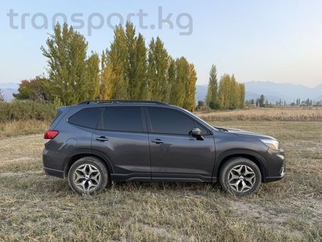 Subaru Forester, 2019 — photo 4