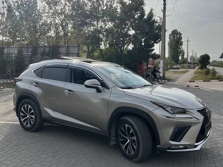 Lexus NX, 2018 — фото 11