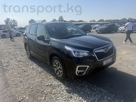 Subaru Forester, 2020 — фото 1