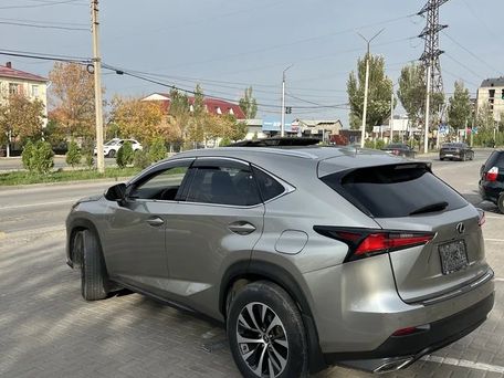 Lexus NX, 2018 — фото 9