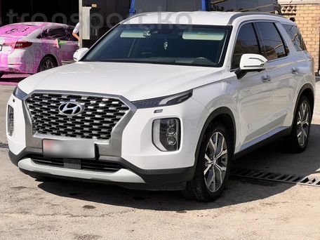 Hyundai Palisade, 2018 — фото 2