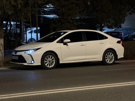 Toyota Corolla, 2019 — фото 2