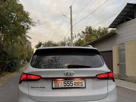 Hyundai Santa Fe, 2022 — сүрөт 6