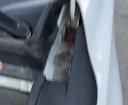 Kia Carnival, 2020 — 照片 12