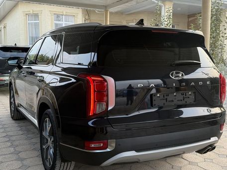 Hyundai Palisade, 2020 — photo 5