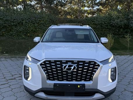 Hyundai Palisade, 2020 — photo 1