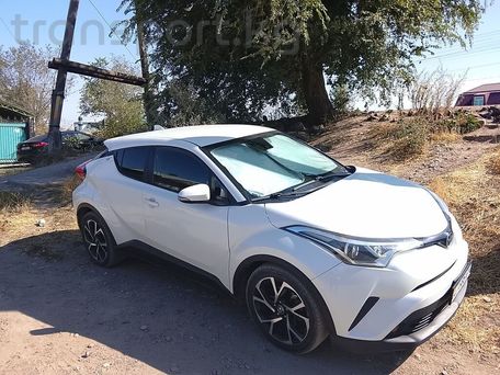 Toyota C-HR, 2018 — фото 4