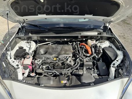 Toyota Venza, 2021 — photo 13
