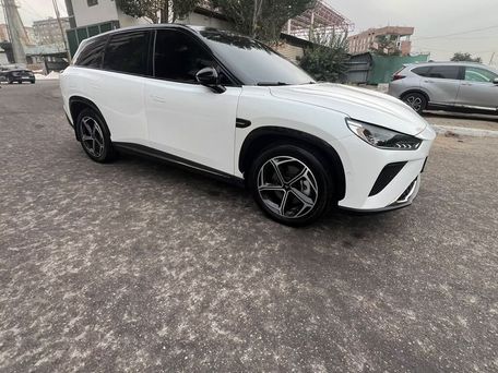 Hozon Neta L, 2024 — 照片 2