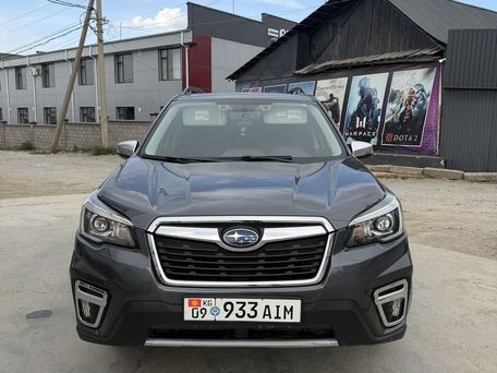 Subaru Forester, 2020 — 照片 10