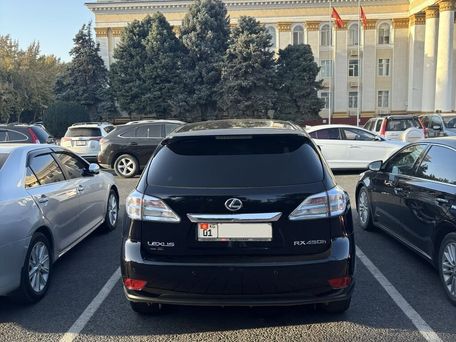 Lexus RX, 2010 — фото 15