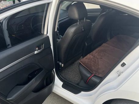Hyundai Avante, 2019 — photo 6