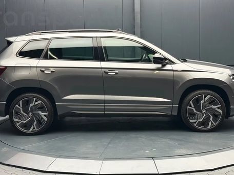 Skoda Karoq, 2024 — сүрөт 10