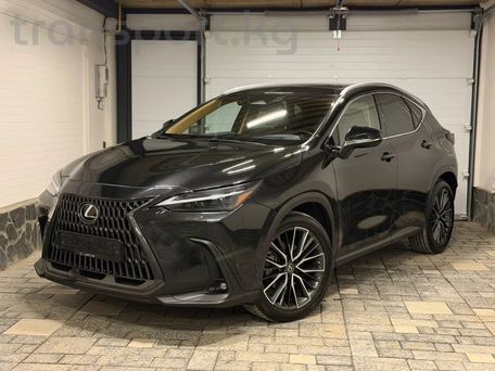 Lexus NX, 2022 — photo 4
