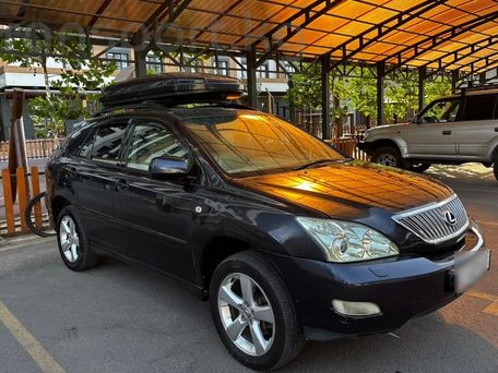 Lexus RX, 2008 — фото 10