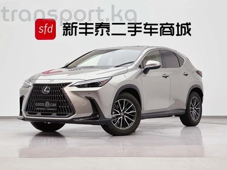 Lexus NX, 2022