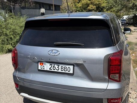 Hyundai Palisade, 2019