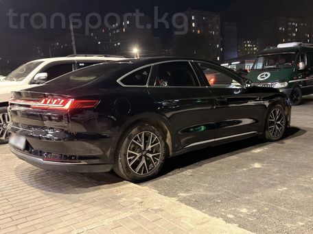 BYD E9, 2021 — photo 6