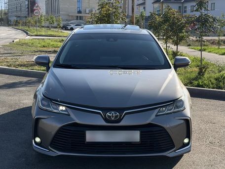 Toyota Corolla, 2019 — фото 3