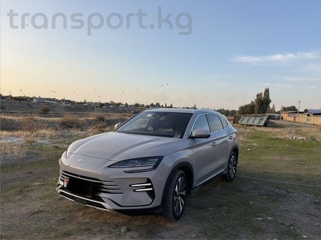 BYD Song Plus, 2024 — 照片 7
