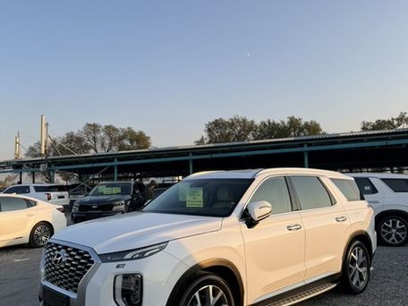 Hyundai Palisade, 2020 — сүрөт 1