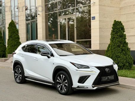 Lexus NX, 2018 — фото 3