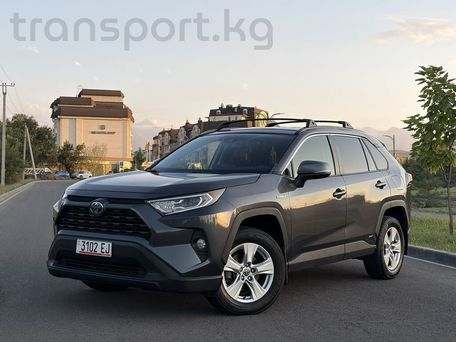 Toyota RAV4, 2020