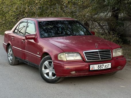 Mercedes-Benz S-Класс, 1996 — 照片 2