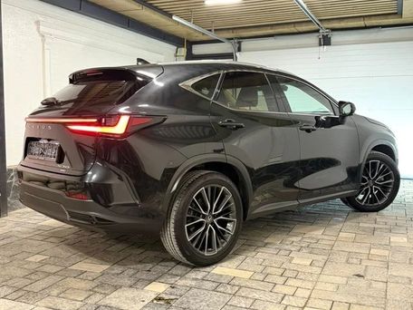 Lexus NX, 2022 — photo 6