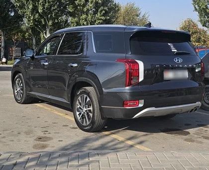 Hyundai Palisade, 2020 — 照片 4