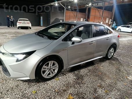 Toyota Levin, 2020 — сүрөт 2