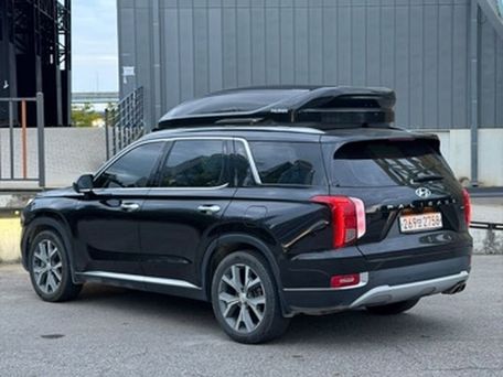 Hyundai Palisade, 2020 — 照片 6