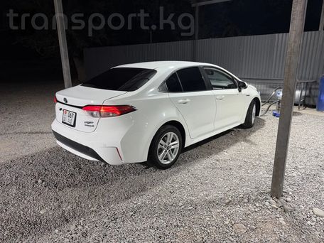 Toyota Levin, 2021 — 照片 7