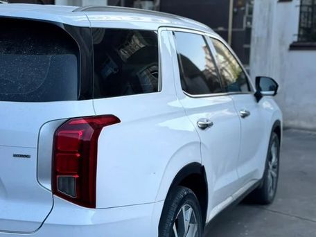 Hyundai Palisade, 2020 — photo 2