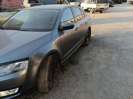 Skoda Octavia, 2017 — фото 2