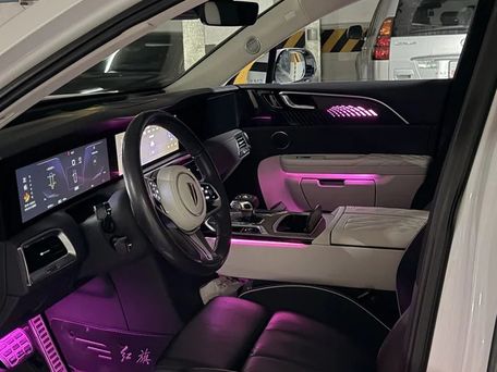 Hongqi E-HS9, 2021 — photo 8