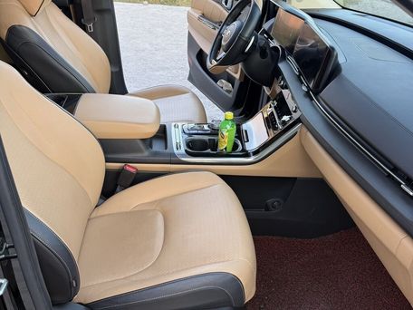 Kia Carnival, 2021 — photo 13