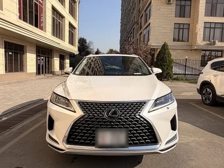 Lexus RX, 2022 — фото 1