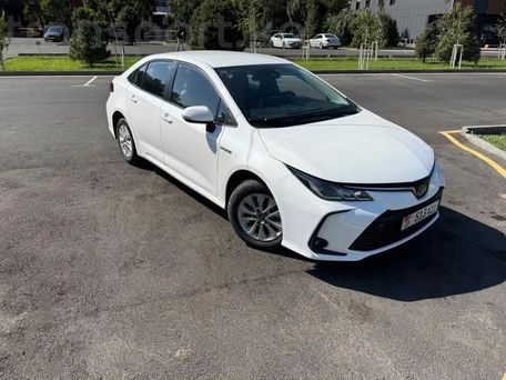 Toyota Corolla, 2019