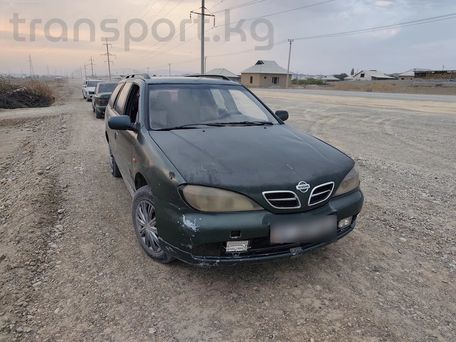 Nissan Primera, 2000 — 照片 3