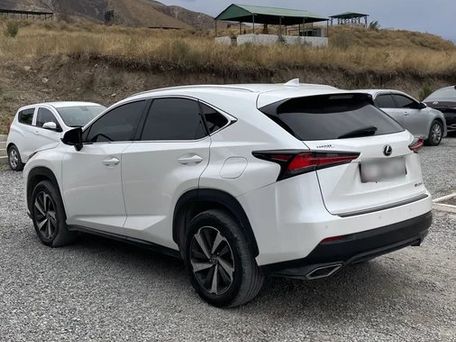 Lexus NX, 2019 — фото 4