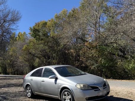Nissan Primera, 2003 — сүрөт 7