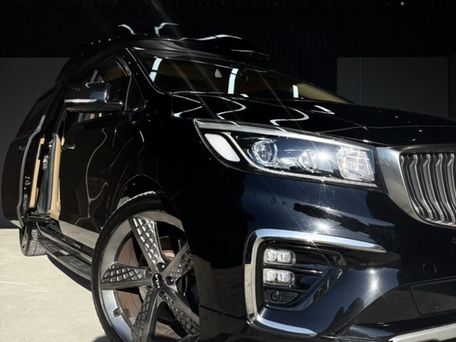 Kia Carnival, 2019 — фото 15