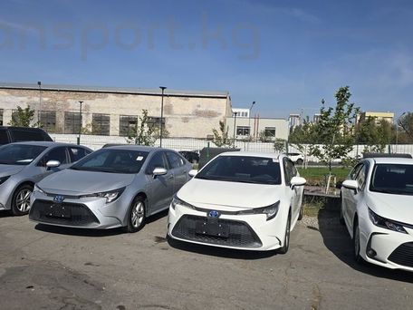 Toyota Corolla, 2022 — 照片 3