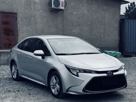 Toyota Levin, 2020 — фото 1
