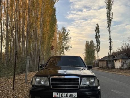 Mercedes-Benz E-Класс, 1994 — 照片 3