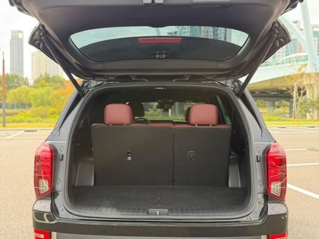 Hyundai Palisade, 2020 — photo 10
