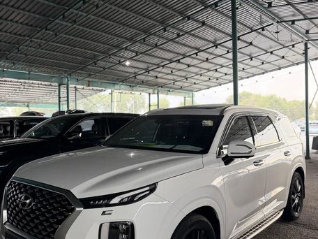 Hyundai Palisade, 2020 — фото 3
