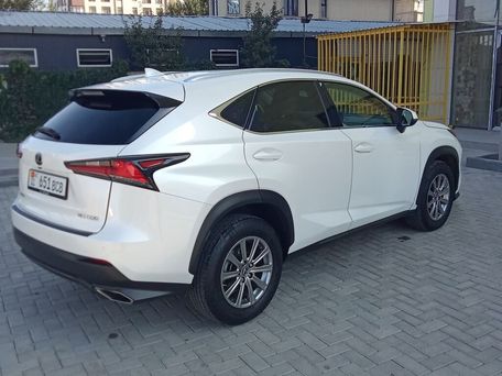 Lexus NX, 2020 — фото 14